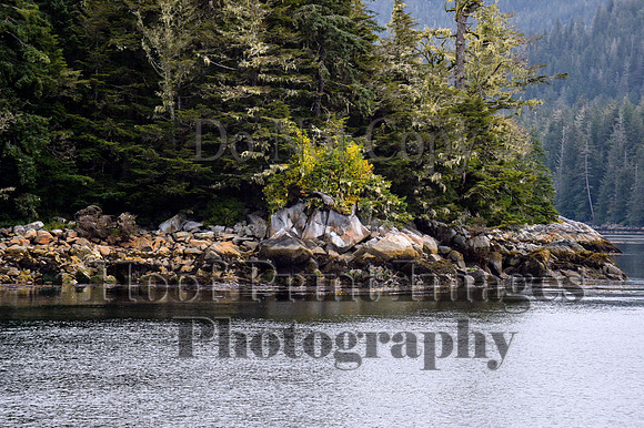 Alaska T(Sept2022)0425