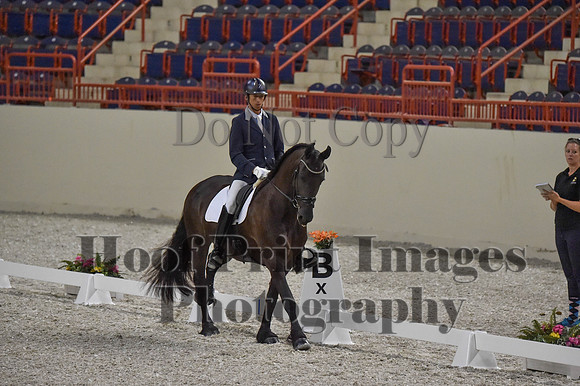 CWdressageI(8-20-16)0288