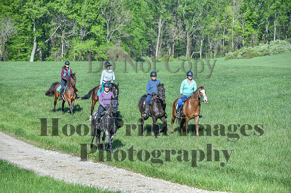 ChesapeakeSpring(4-27-25)0476