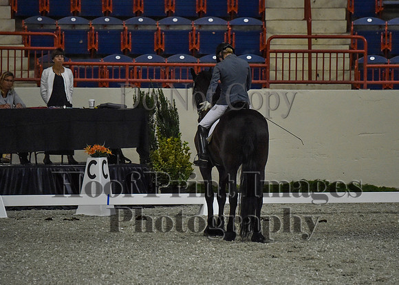 CWdressageII(8-21-16)0212