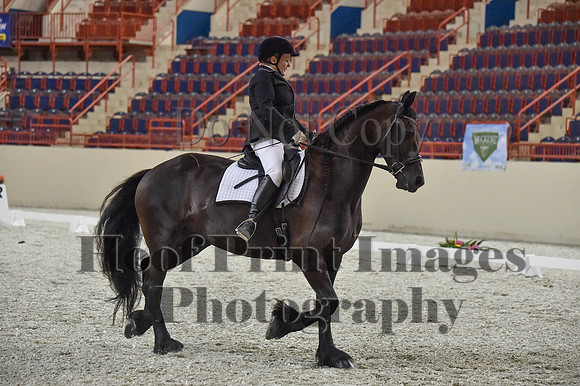 CWdressageI(8-20-16)1387