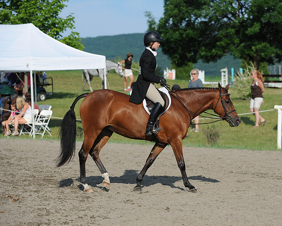 SC(6-28-14)PoHandy0008