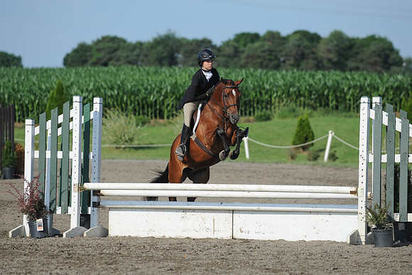 SC(6-28-14)PoHandy0004