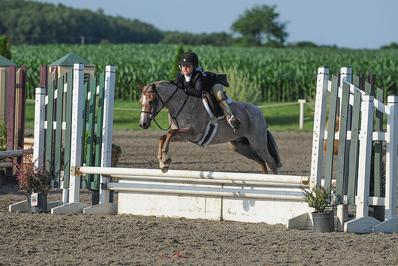 SC(6-28-14)PoHandy0063