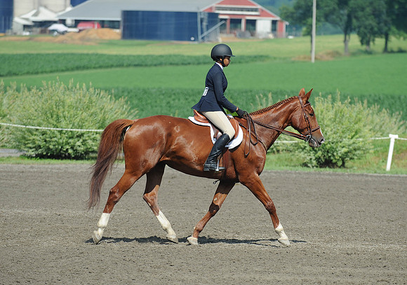 SC(6-27-14)ChHO0056
