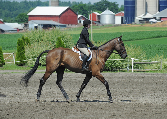 SC(6-27-14)ChHO0125