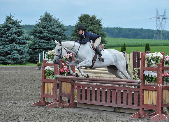 Lion(7-3-15)Junior0012