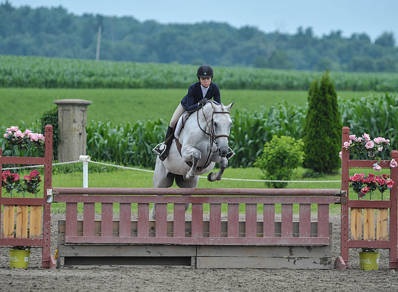 Lion(7-3-15)Junior0020