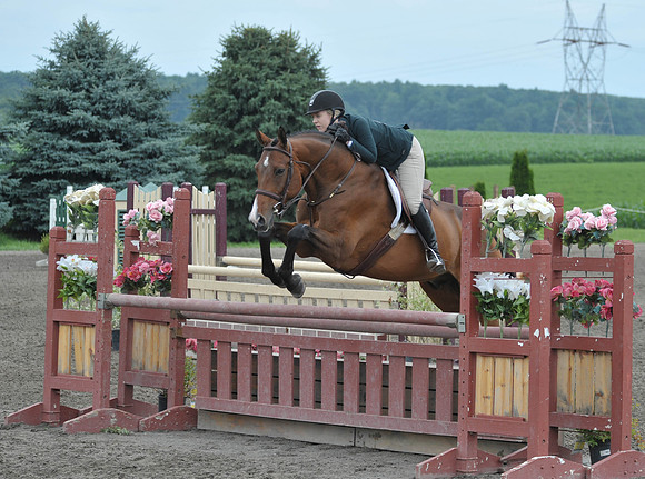 Lion(7-3-15)Junior0026