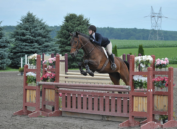 Lion(7-3-15)Junior0015