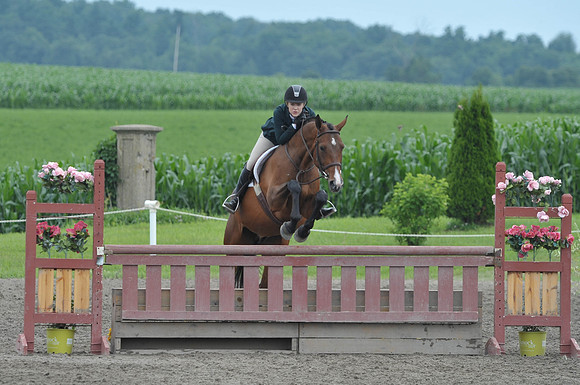 Lion(7-3-15)Junior0025