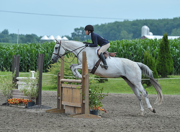 Lion(7-3-15)Junior0028