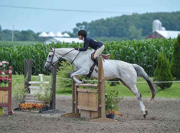 Lion(7-3-15)Junior0019