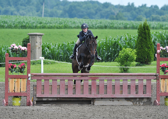 Lion(7-3-15)Junior0001