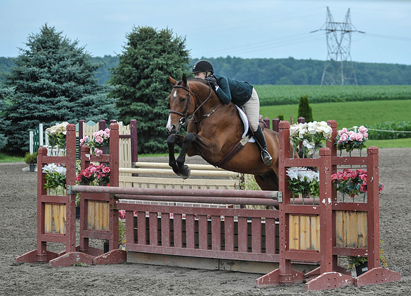 Lion(7-3-15)Junior0022