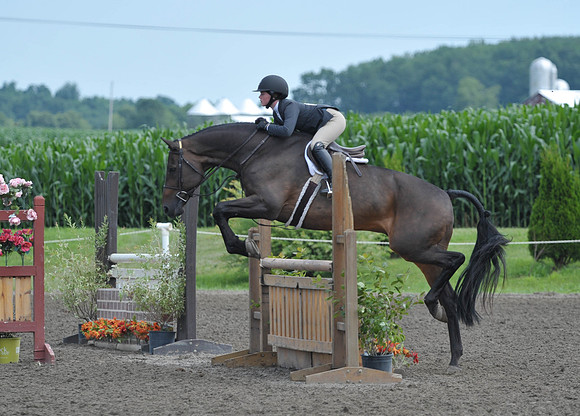 Lion(7-3-15)Junior0003