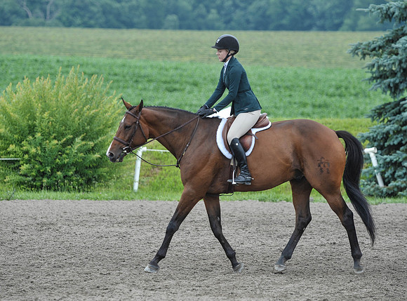 Lion(7-3-15)Junior0032