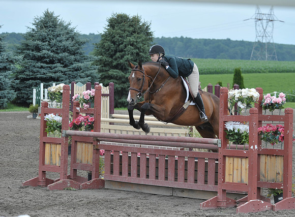 Lion(7-3-15)Junior0031