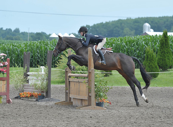 Lion(7-3-15)Junior0035