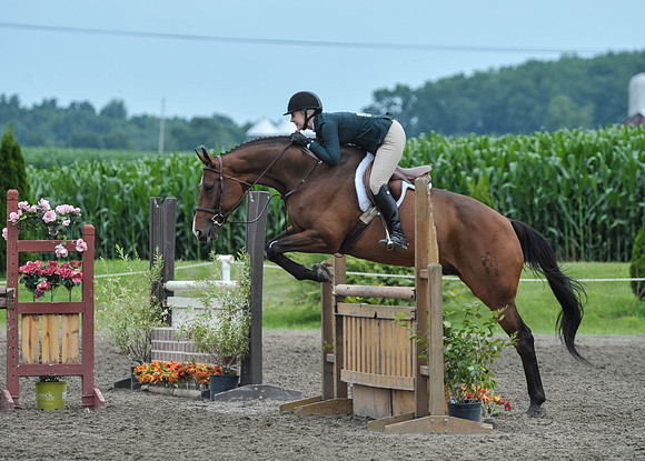 Lion(7-3-15)Junior0023