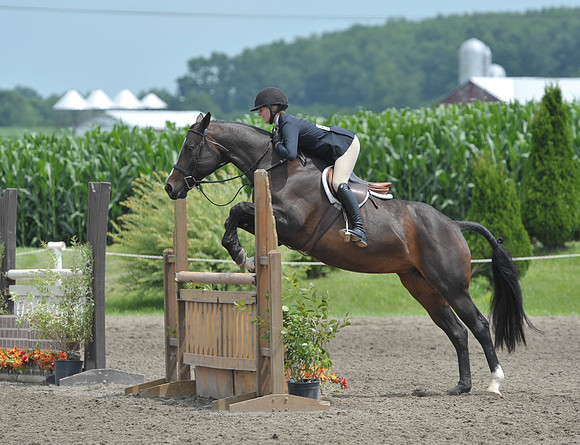 Lion(7-3-15)Junior0037