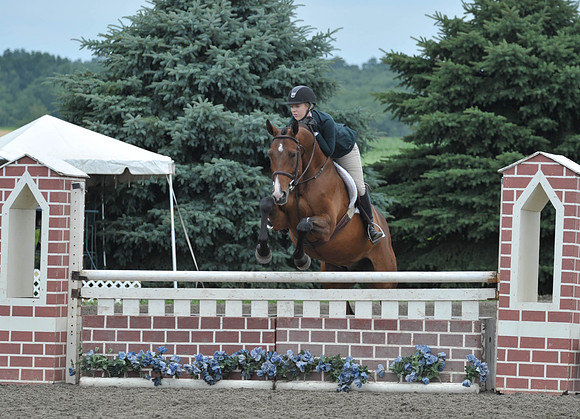 Lion(7-3-15)Junior0024