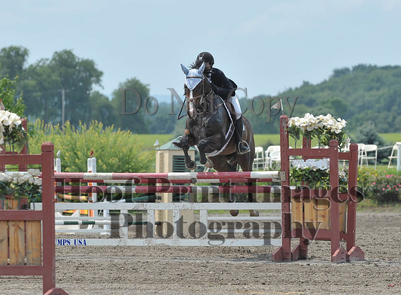 Lion(7-5-15)HighChJmp0019