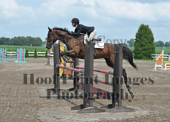 Lion(7-5-15)HighChJmp0006