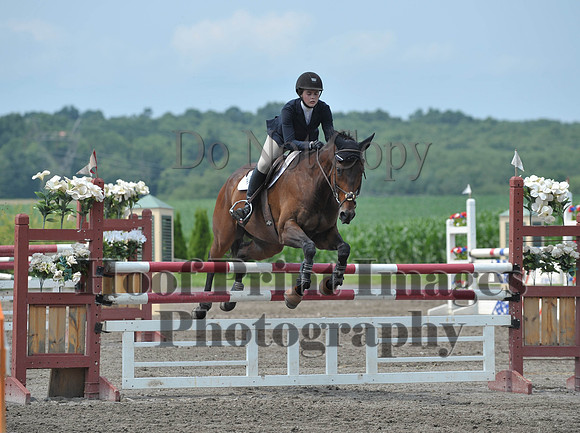 Lion(7-5-15)HighChJmp0016