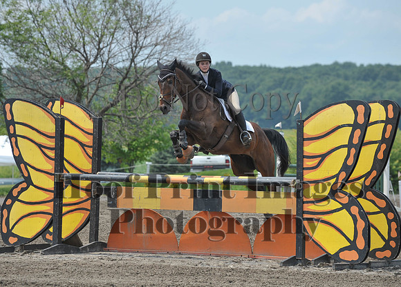 Lion(7-5-15)HighChJmp0017