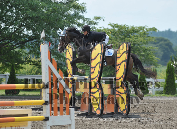 Lion(7-5-15)HighChJmp0021