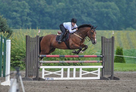Lion(7-3-15)1.10mJmp0015