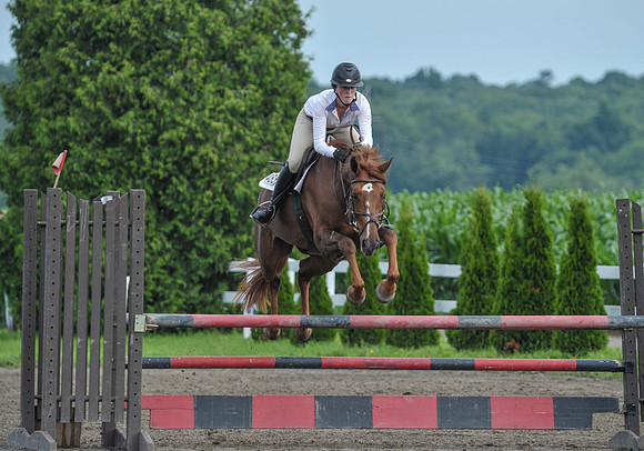 Lion(7-3-15)1.10mJmp0007