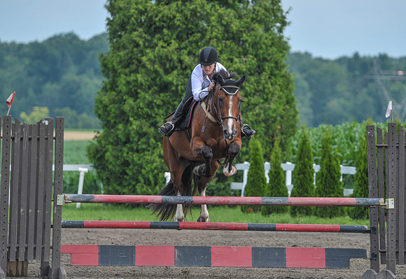 Lion(7-3-15)1.10mJmp0016