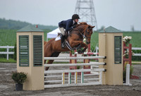 (6-26-15) Training Jumper 1.10m