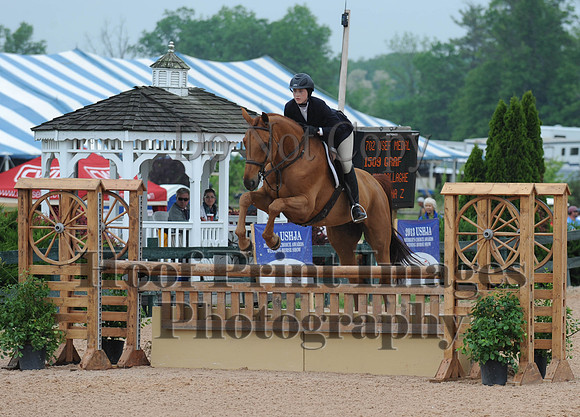 BRUSEFMedal(5-17-15)0024