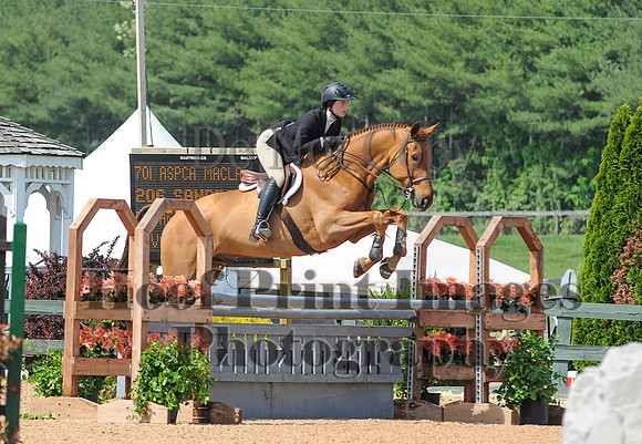 BRASPCAMaclay(5-16-15)0001
