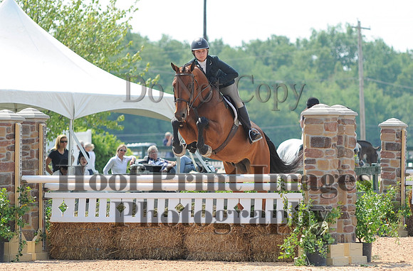 BRASPCAMaclay(5-16-15)0013