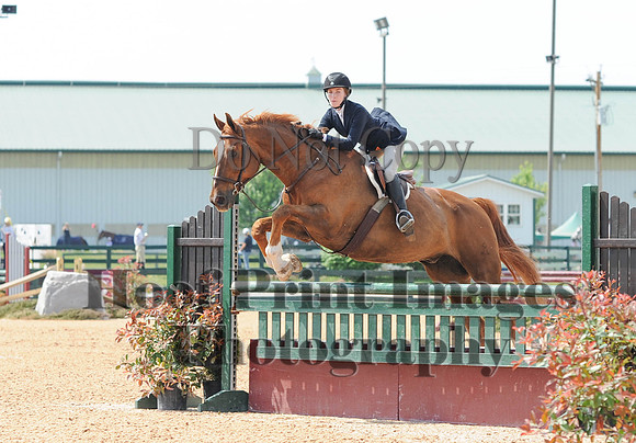 BRASPCAMaclay(5-16-15)0018
