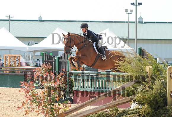 BRASPCAMaclay(5-16-15)0016
