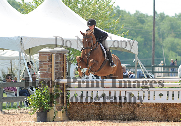 BRASPCAMaclay(5-16-15)0015