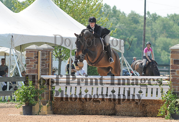 BRASPCAMaclay(5-16-15)0010