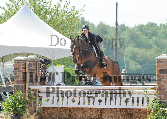 BRASPCAMaclay(5-16-15)0002