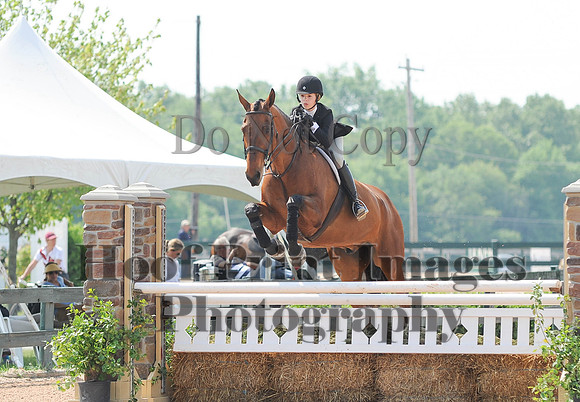 BRASPCAMaclay(5-16-15)0007