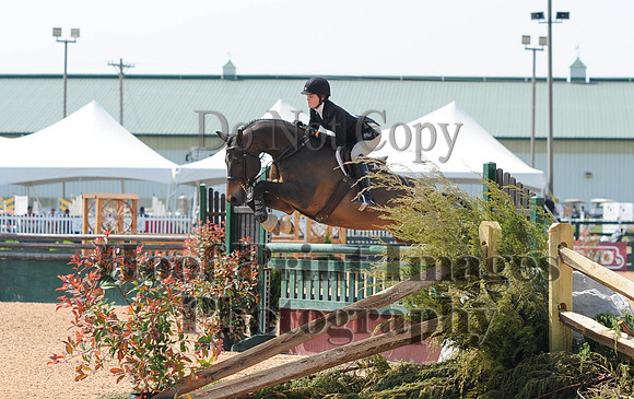BRASPCAMaclay(5-16-15)0011