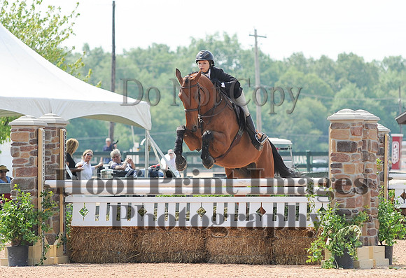 BRASPCAMaclay(5-16-15)0006