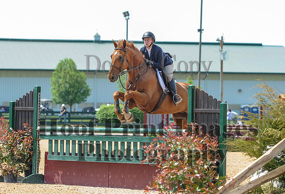 BRASPCAMaclay(5-16-15)0020