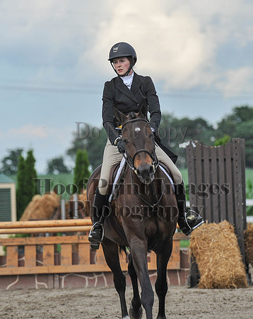 Lion1(7-8-17)0741