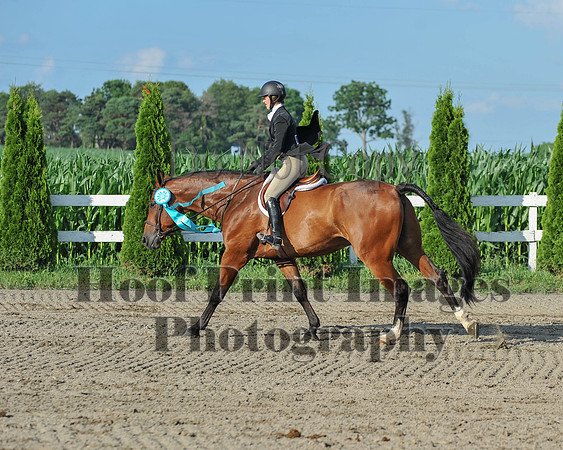 Lion2(7-8-17)0967