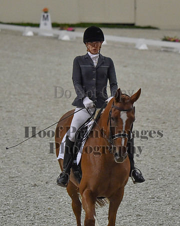CWdressageII(8-21-16)0093